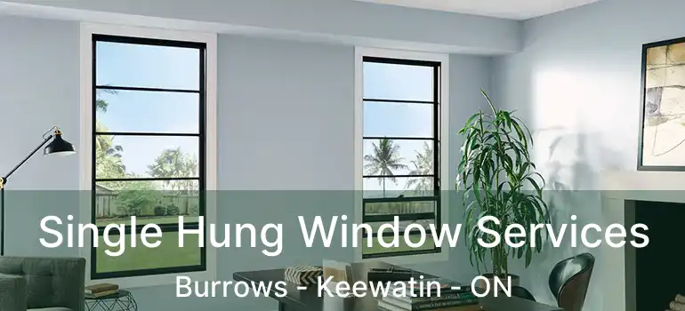  Single Hung Window Services Burrows - Keewatin - ON