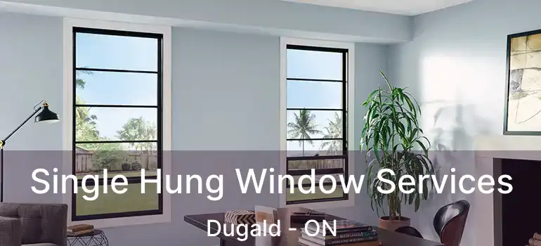  Single Hung Window Services Dugald - ON