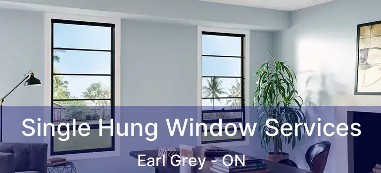  Single Hung Window Services Earl Grey - ON