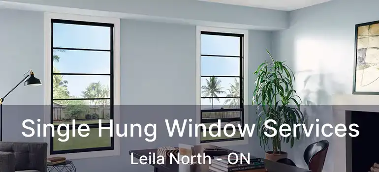  Single Hung Window Services Leila North - ON