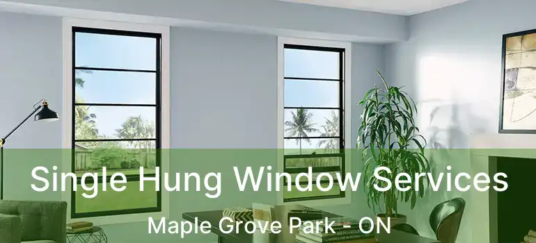  Single Hung Window Services Maple Grove Park - ON