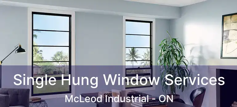  Single Hung Window Services McLeod Industrial - ON