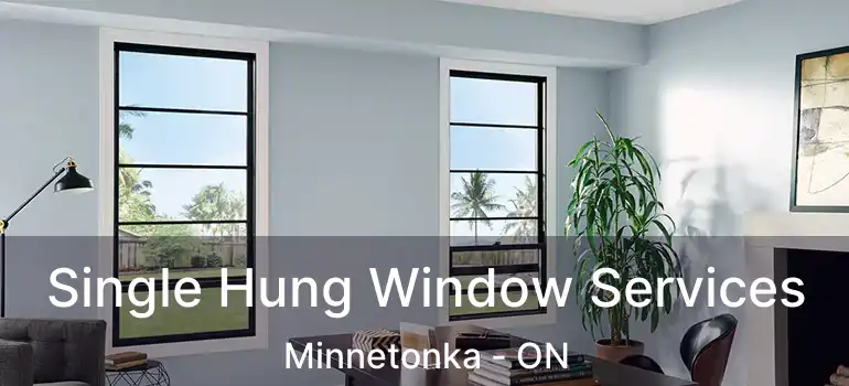  Single Hung Window Services Minnetonka - ON