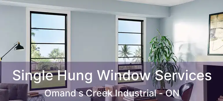  Single Hung Window Services Omand s Creek Industrial - ON