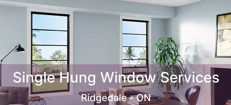  Single Hung Window Services Ridgedale - ON