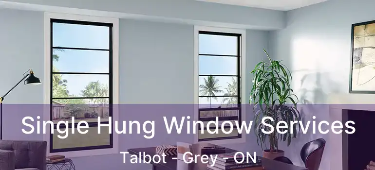  Single Hung Window Services Talbot - Grey - ON