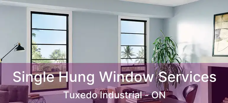  Single Hung Window Services Tuxedo Industrial - ON