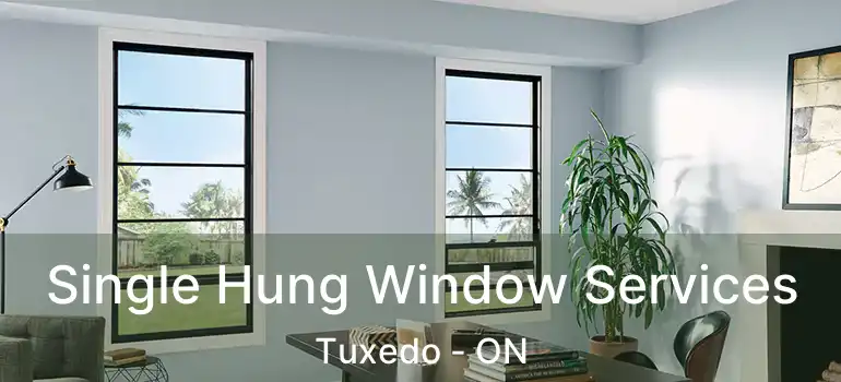  Single Hung Window Services Tuxedo - ON