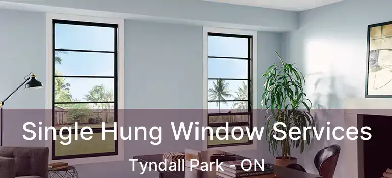  Single Hung Window Services Tyndall Park - ON