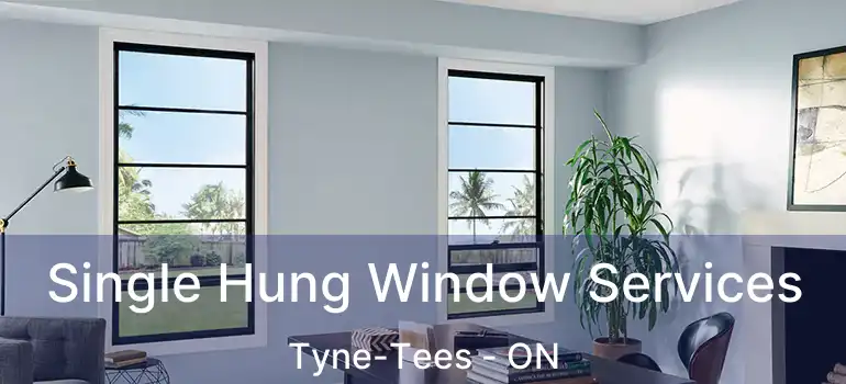  Single Hung Window Services Tyne-Tees - ON