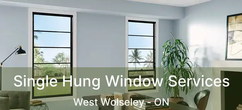  Single Hung Window Services West Wolseley - ON