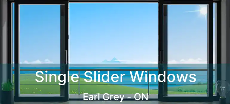  Single Slider Windows Earl Grey - ON
