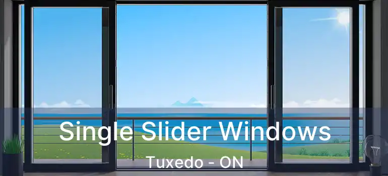  Single Slider Windows Tuxedo - ON