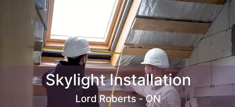  Skylight Installation Lord Roberts - ON