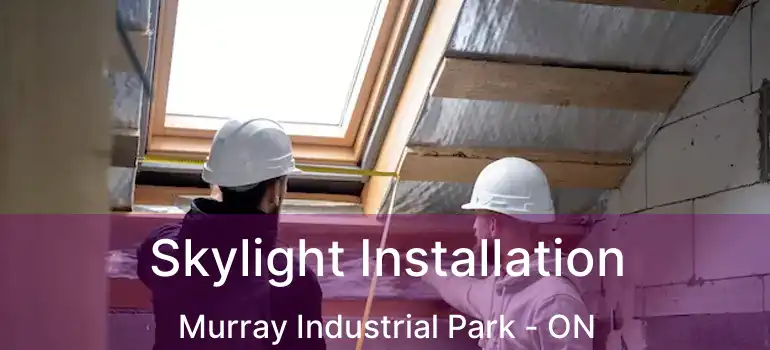  Skylight Installation Murray Industrial Park - ON