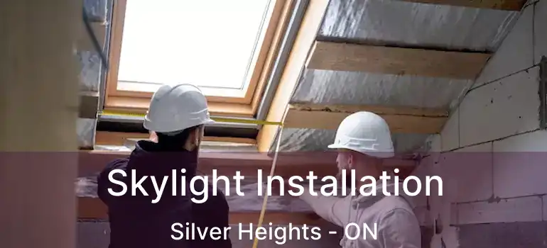  Skylight Installation Silver Heights - ON