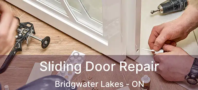  Sliding Door Repair Bridgwater Lakes - ON