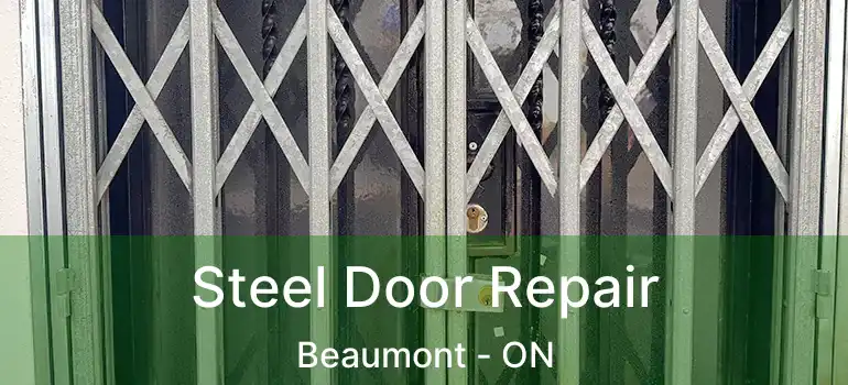  Steel Door Repair Beaumont - ON