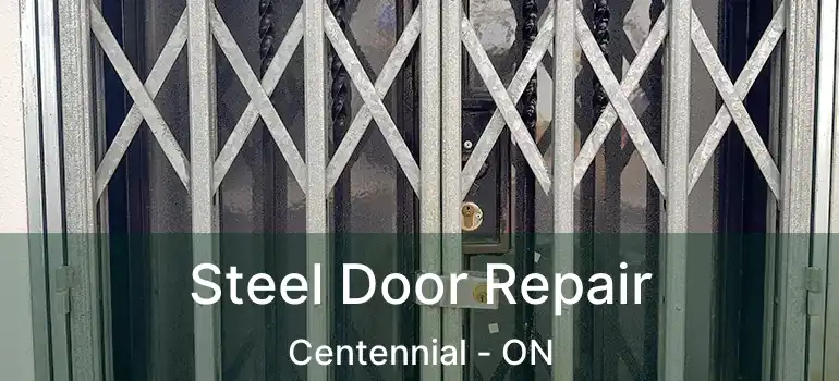  Steel Door Repair Centennial - ON