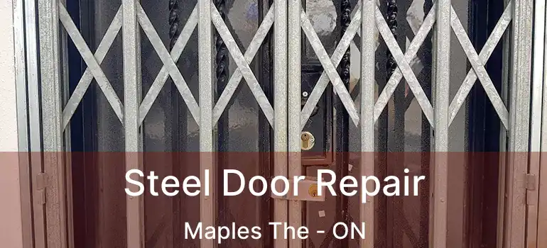  Steel Door Repair Maples The - ON