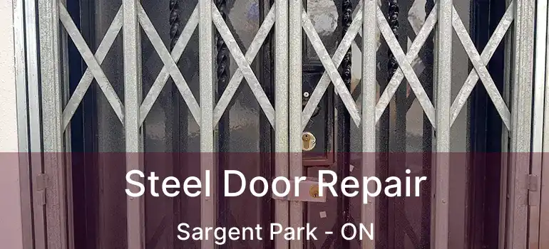  Steel Door Repair Sargent Park - ON