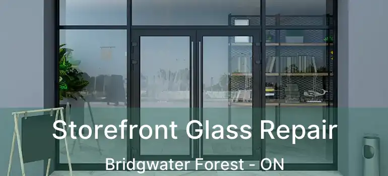  Storefront Glass Repair Bridgwater Forest - ON