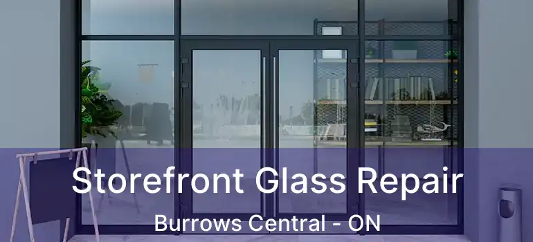  Storefront Glass Repair Burrows Central - ON
