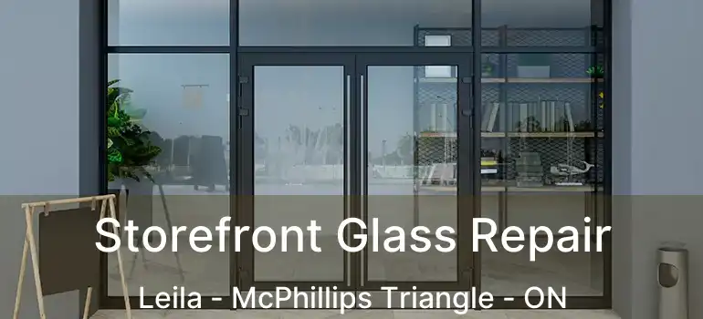  Storefront Glass Repair Leila - McPhillips Triangle - ON