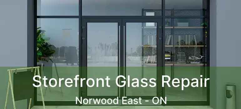  Storefront Glass Repair Norwood East - ON