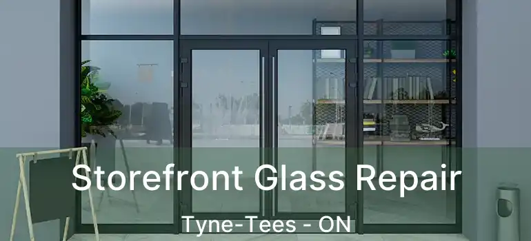  Storefront Glass Repair Tyne-Tees - ON