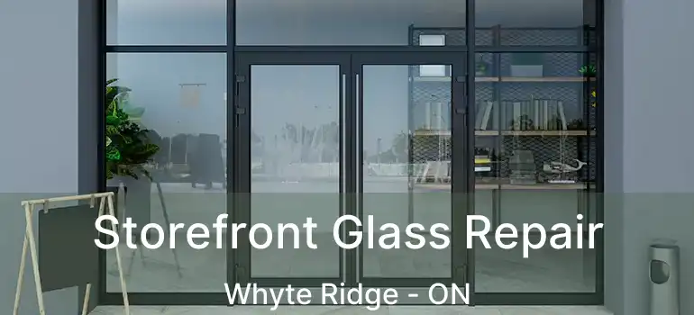  Storefront Glass Repair Whyte Ridge - ON