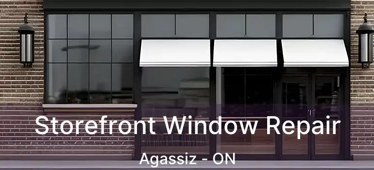  Storefront Window Repair Agassiz - ON