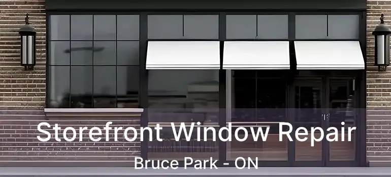  Storefront Window Repair Bruce Park - ON