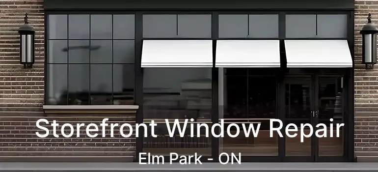  Storefront Window Repair Elm Park - ON