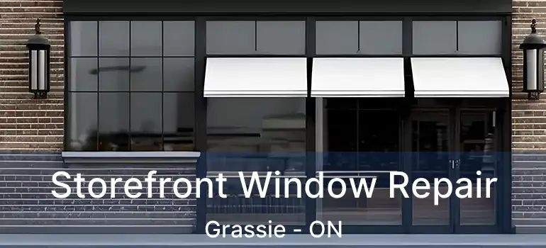 Storefront Window Repair Grassie - ON