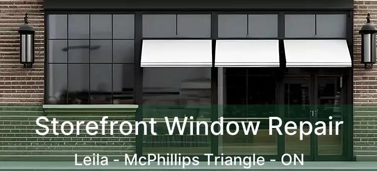  Storefront Window Repair Leila - McPhillips Triangle - ON