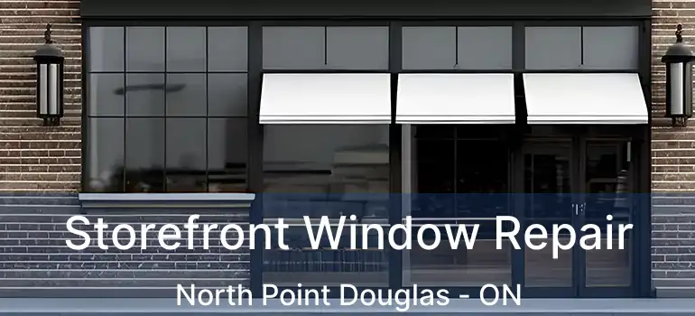  Storefront Window Repair North Point Douglas - ON