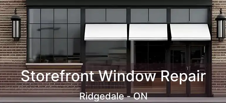 Storefront Window Repair Ridgedale - ON