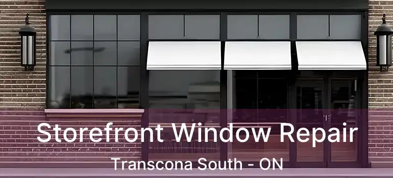  Storefront Window Repair Transcona South - ON