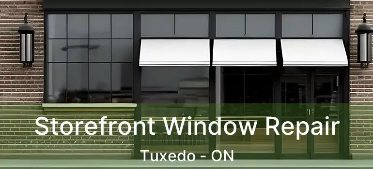  Storefront Window Repair Tuxedo - ON