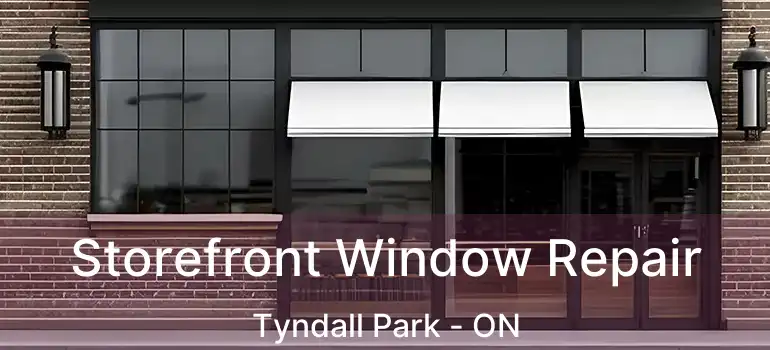  Storefront Window Repair Tyndall Park - ON
