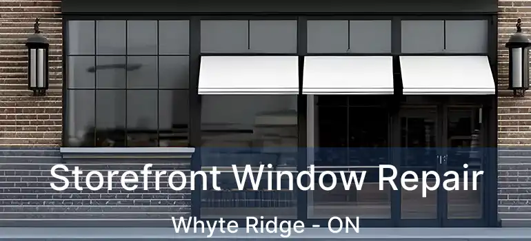  Storefront Window Repair Whyte Ridge - ON