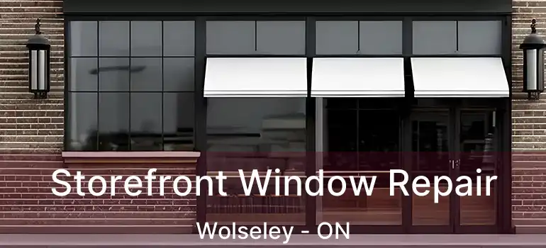  Storefront Window Repair Wolseley - ON