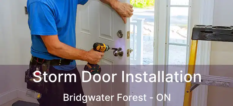  Storm Door Installation Bridgwater Forest - ON