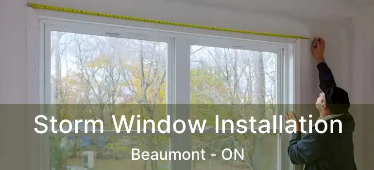  Storm Window Installation Beaumont - ON