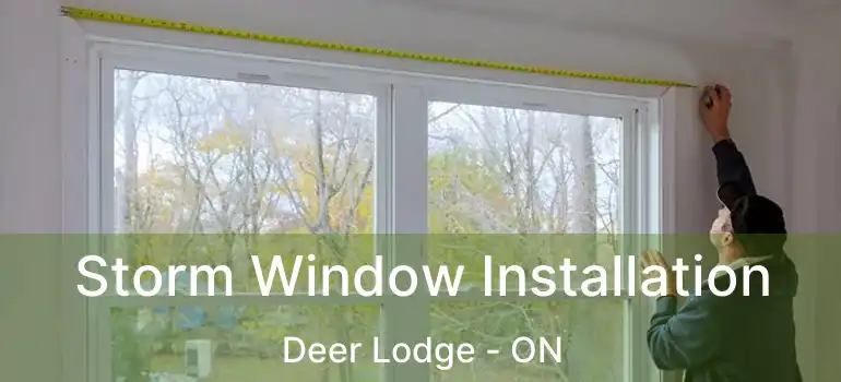  Storm Window Installation Deer Lodge - ON