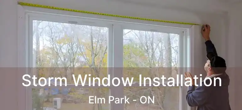  Storm Window Installation Elm Park - ON