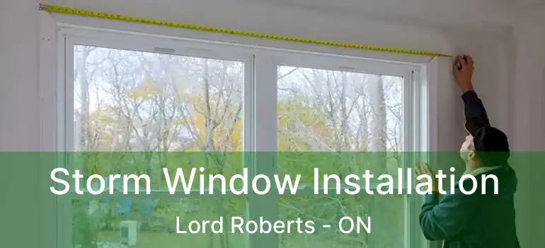  Storm Window Installation Lord Roberts - ON