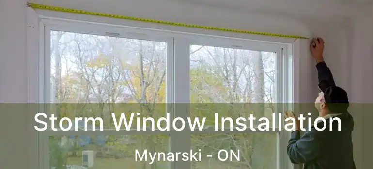  Storm Window Installation Mynarski - ON