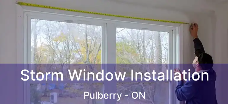  Storm Window Installation Pulberry - ON